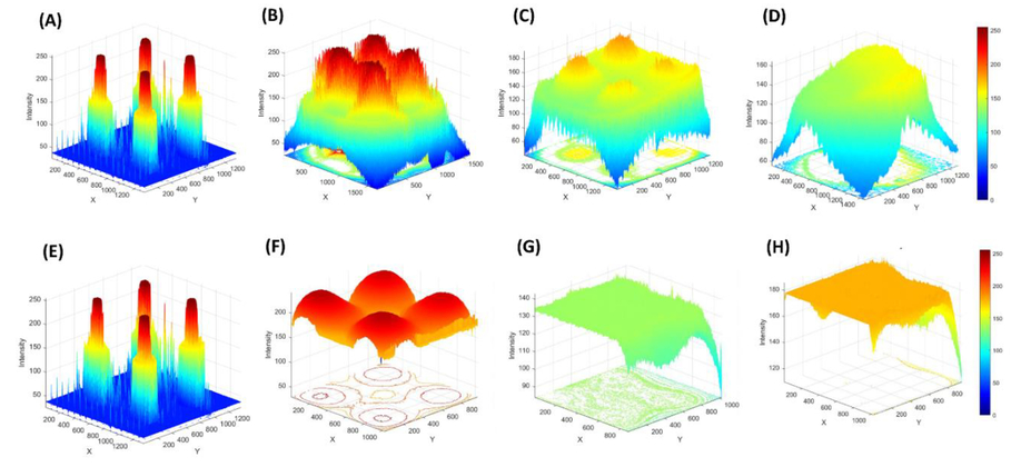 Portable Fluorescence Imaging Platform